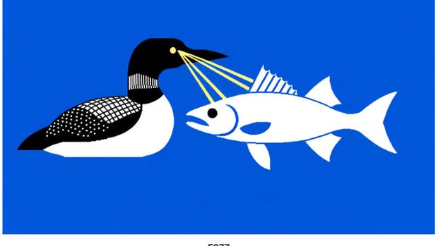 Minnesota state flag and seal submissions: The good, the bad, and the loony 