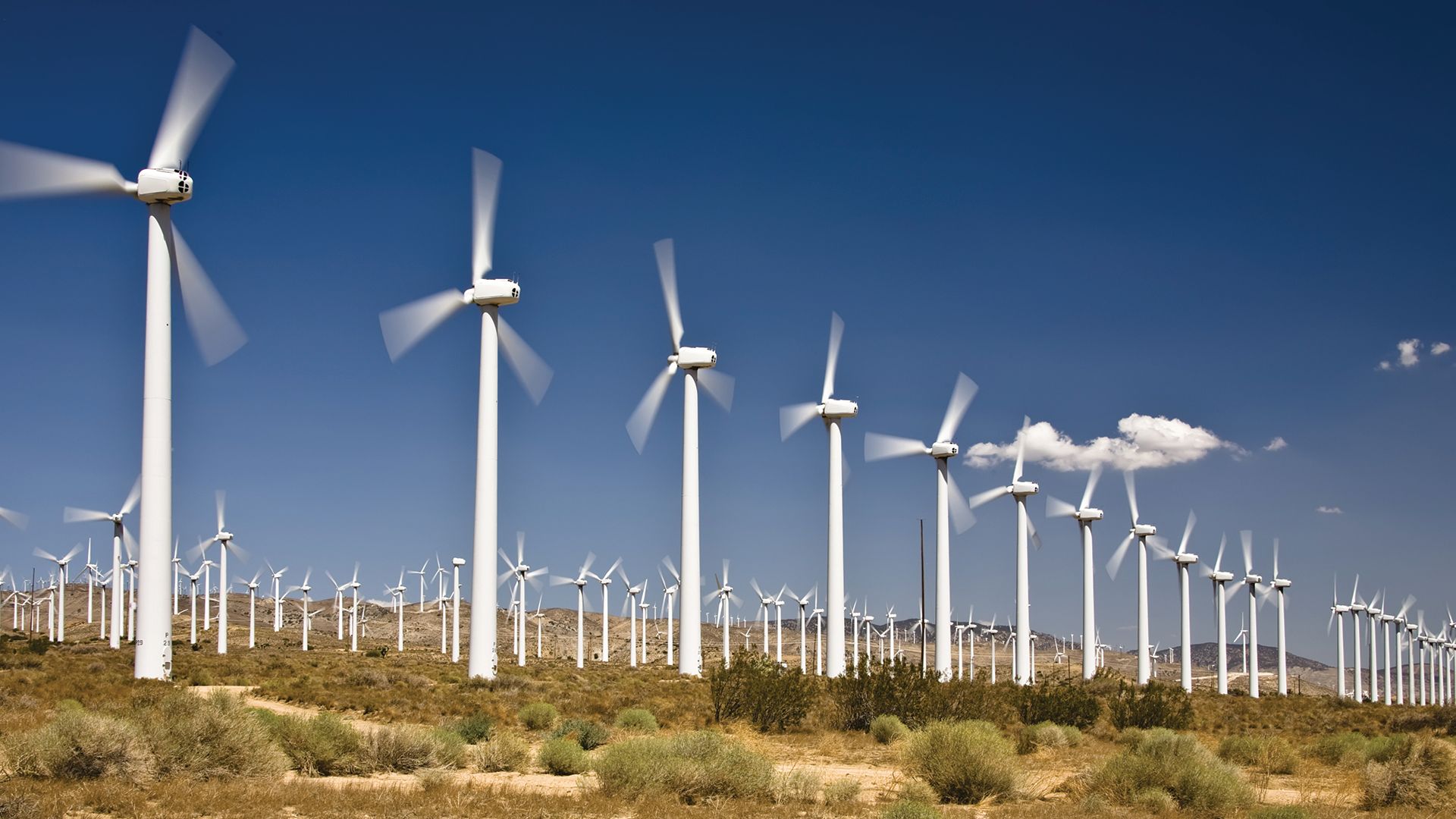 wind turbines