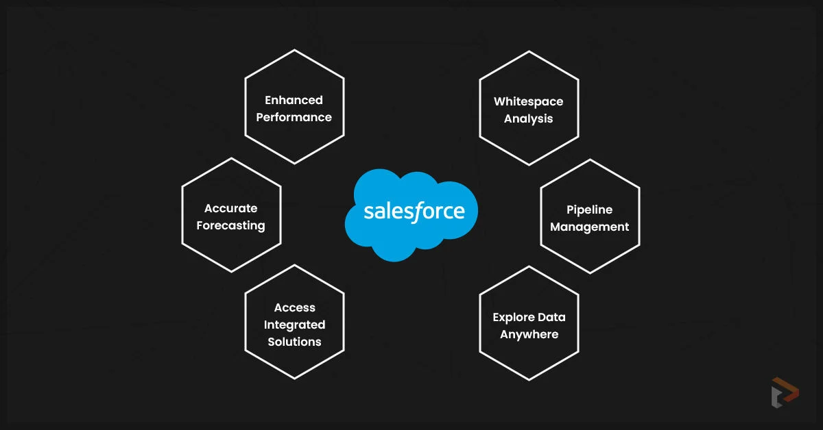 salesforce-pillar-page-05