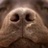 Jackie Molina, profile picture