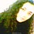 Lilyan F., profile picture