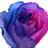 PurpleMeresa, profile picture