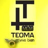 Teoma MLM