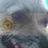 Justin David, profile picture