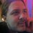 Andrew Fischler, profile picture
