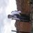 Dan Zethina, profile picture