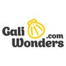 GaliWonders