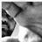 George Gardelinos, profile picture