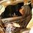 Hafsa Amjad, profile picture