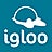 iloveigloo, profile picture