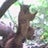 Jose Livia Hinostroza, profile picture