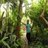 Jorge Jose Solorzano P, profile picture