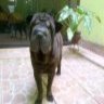 Jhonatan Ynfante