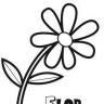 Flor de Maria