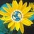 Nonviolent Communication, profile picture
