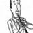 Pedro Gragera Luna, profile picture