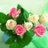 Ramakanta Behera, profile picture