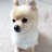 Midori Oge, profile picture