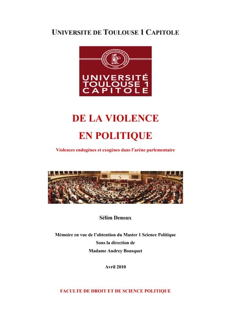 Political violence within Parliament arena, University Report for the Master'...