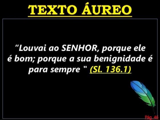 Adorando a Deus em meio a calamidade