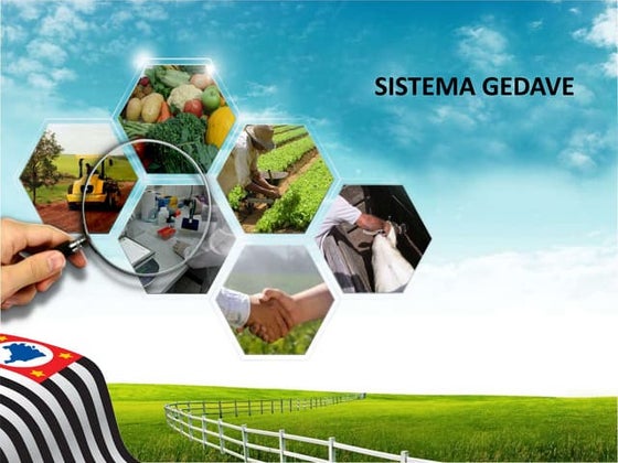 Sistema GEDAVE