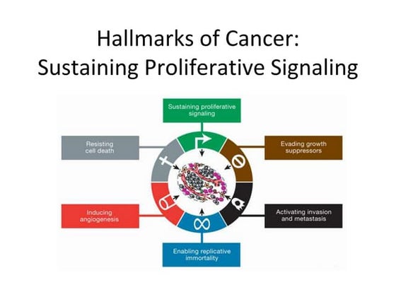 Hallmarks of Cancer  - Sustained Proliferative Signaling