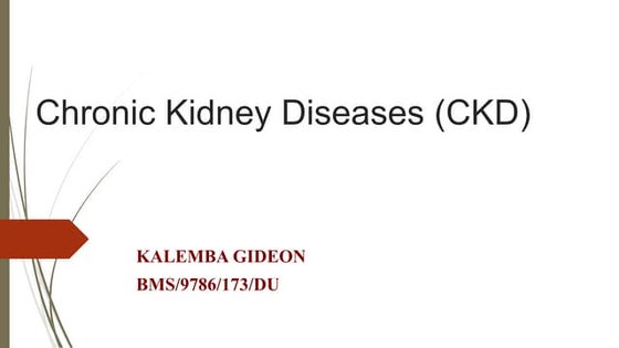CKD-kalemba.pptx