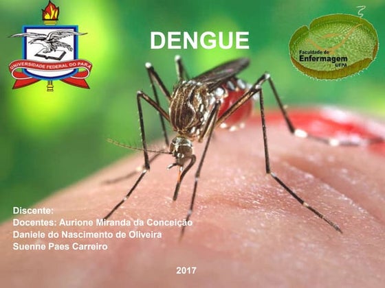 Dengue