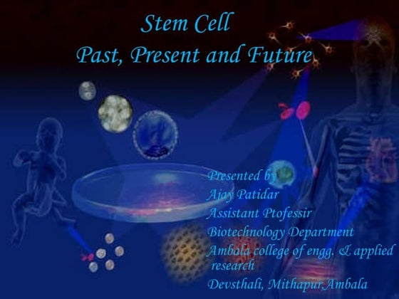  Stem cell