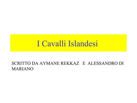 Il cavallo islandese