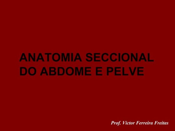 Imagenologia abdome 03_2012- 2º aula