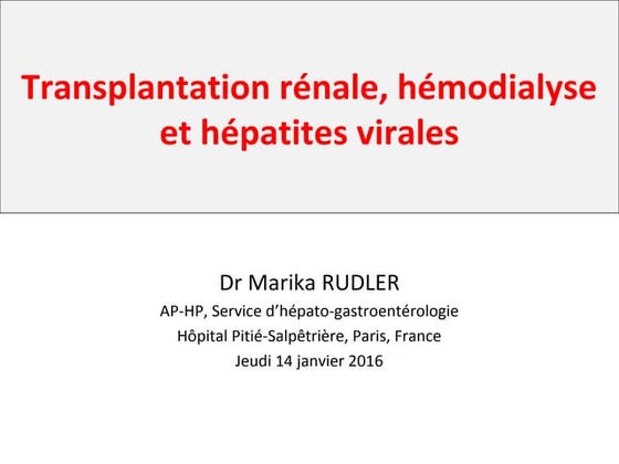 Rudler hépatites ir du16