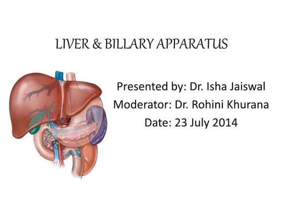Liver & billary apparatus