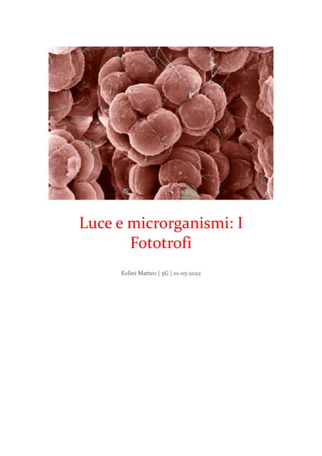 Luce e microrganismi