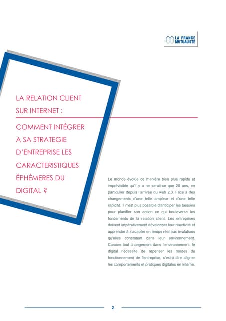 Mémoire professionnel : La stratégie digitale dans la relation client