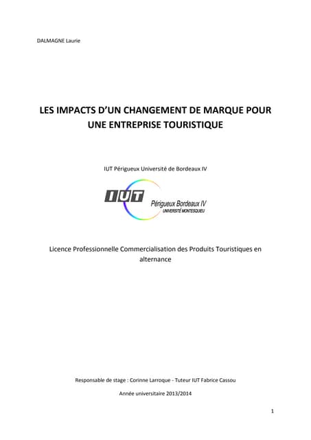 Mémoire licence pro pdf