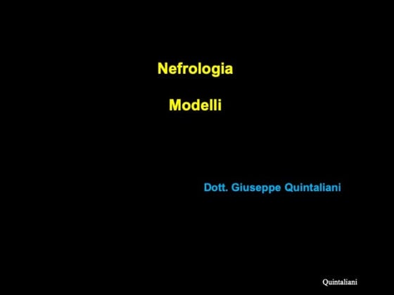 Pisa  dr  quintaliani_lez 1 e 2