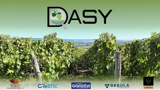 DASY : Détection Automatisée des Symptômes de jaunisse de la vigne