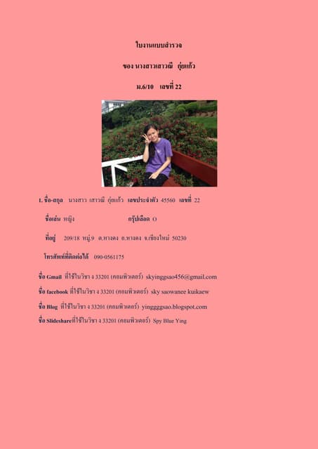 ใบแบบสำรวจ