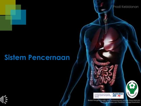 Sistem Pencernaan