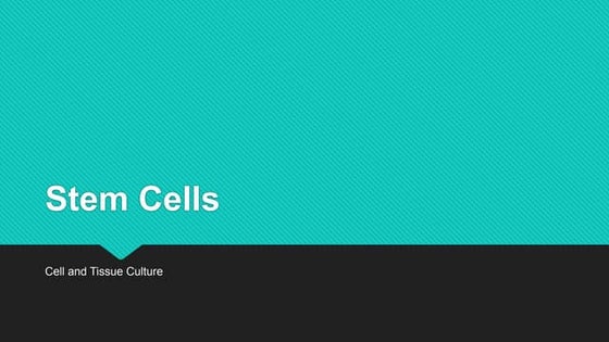 Stem cells , culture and  technologies