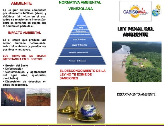 TRIPTICO LEY PENAL DEL AMBIENTE.pptx