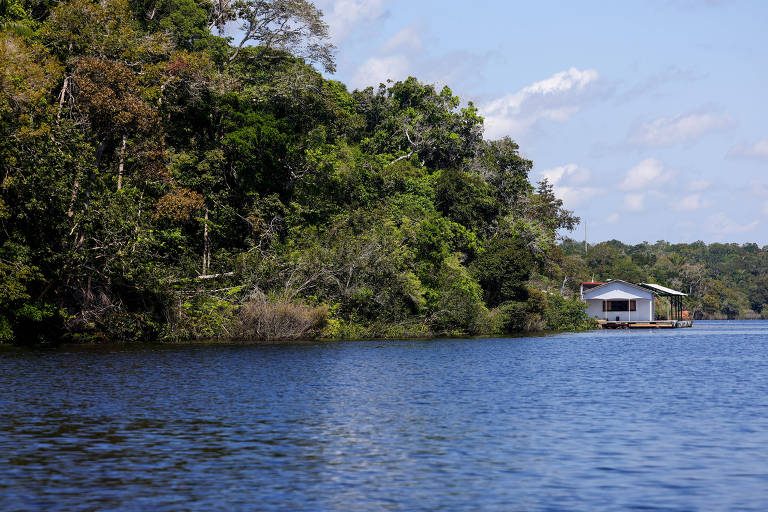 Agência Bori abre inscrições para workshop sobre cobertura de mudanças climáticas e biodiversidade