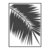 Palmera Blanca Radio thumbnail
