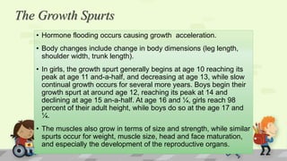The Growth Spurts
• Hormone flooding occurs causing growth acceleration.
• Body changes include change in body dimensions (leg length,
shoulder width, trunk length).
• In girls, the growth spurt generally begins at age 10 reaching its
peak at age 11 and-a-half, and decreasing at age 13, while slow
continual growth occurs for several more years. Boys begin their
growth spurt at around age 12, reaching its peak at 14 and
declining at age 15 an-a-half. At age 16 and ¼, girls reach 98
percent of their adult height, while boys do so at the age 17 and
¼.
• The muscles also grow in terms of size and strength, while similar
spurts occur for weight, muscle size, head and face maturation,
and especially the development of the reproductive organs.
 
