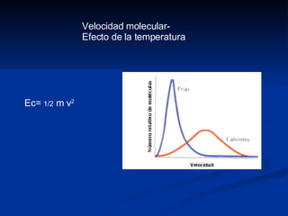 Velocidad molecular- Efecto de la temperatura Ec=  1/2  m v 2 