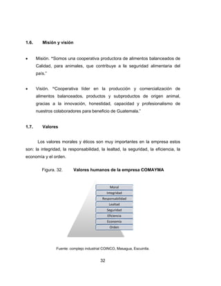 1.6.
 Mis
Ca
paí
 Vis
alim
gra
nue
1.7.
Lo
son: la i
econom
Misión y v
sión. “Som
lidad, para
ís.”
sión. “Coo
mentos ba
acias a la
estros colab
Valores
os valores
integridad,
ía y el orde
Figura. 32.
Fue
visión
os una coo
a animales
operativa l
alanceados,
innovació
boradores
morales y
la respons
en.
. Valo
ente: complejo
32
operativa p
, que cont
íder en la
, producto
n, honestid
para benef
éticos son
sabilidad, la
res human
o industrial CO
R
2
roductora d
tribuye a l
a producc
s y subpr
dad, capac
icio de Gua
muy impo
a lealtad, l
nos de la e
OINCO, Masa
Moral 
Integridad 
Responsabilida
Lealtad 
Seguridad
Eficiencia
Economía 
Orden 
de alimento
la segurida
ción y co
roductos d
cidad y p
atemala.”
ortantes en
a segurida
empresa CO
agua, Escuin
ad 
os balancea
ad alimenta
mercializac
de origen
rofesionalis
la empres
ad, la eficie
OMAYMA
tla.
ados de
aria del
ción de
animal,
smo de
sa estos
encia, la
 