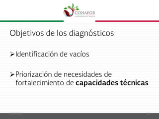 Objetivos de los diagnósticos
ØIdentificación de vacíos
ØPriorización de necesidades de
fortalecimiento de capacidades técnicas
12/05/2014 10
 