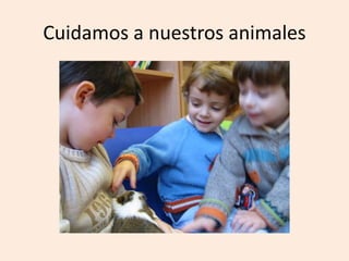 Cuidamos a nuestros animales
 