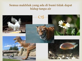 
Semua makhluk yang ada di bumi tidak dapat
hidup tanpa air
 